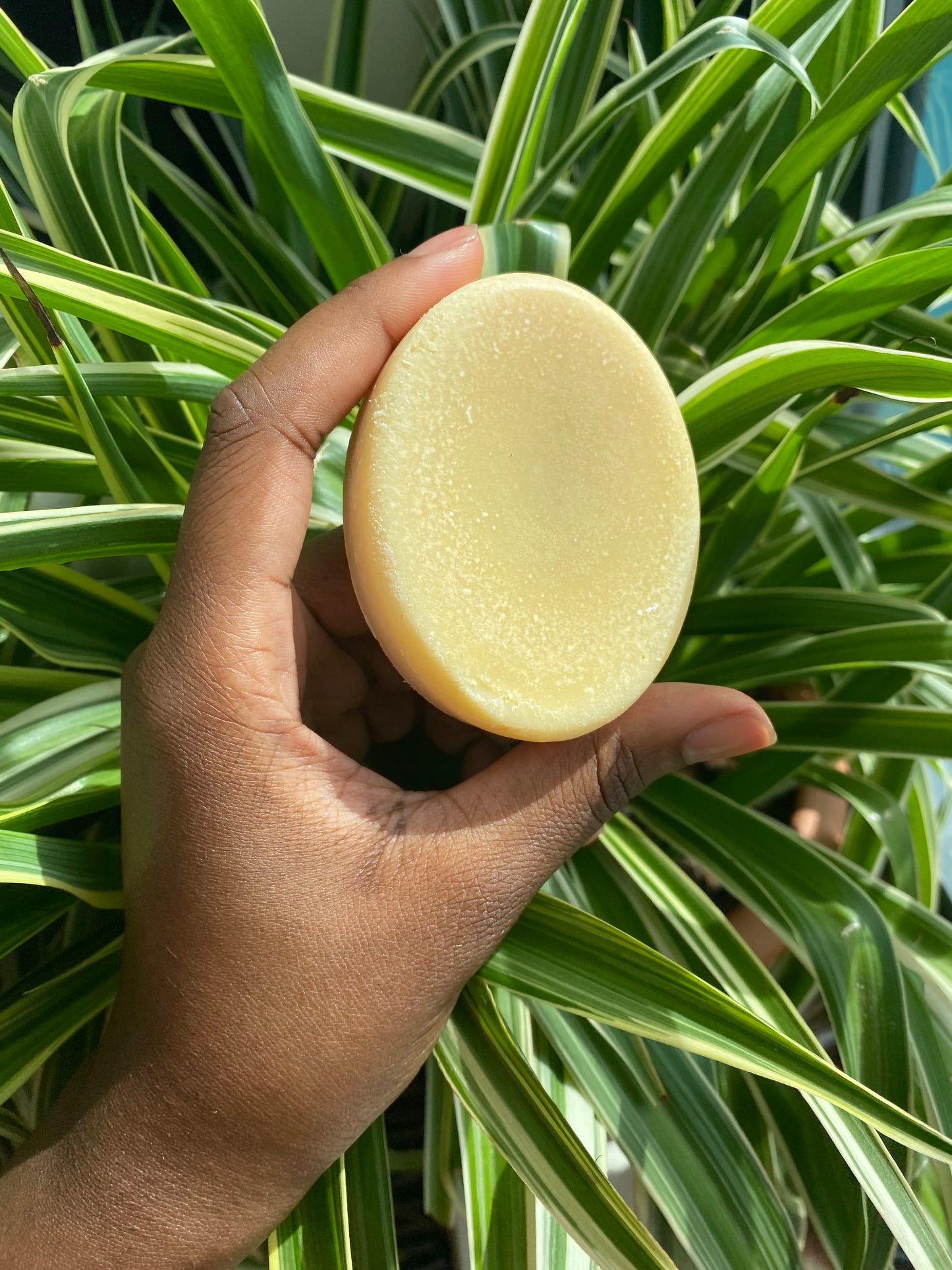 Rosehip Radiance Body Bar