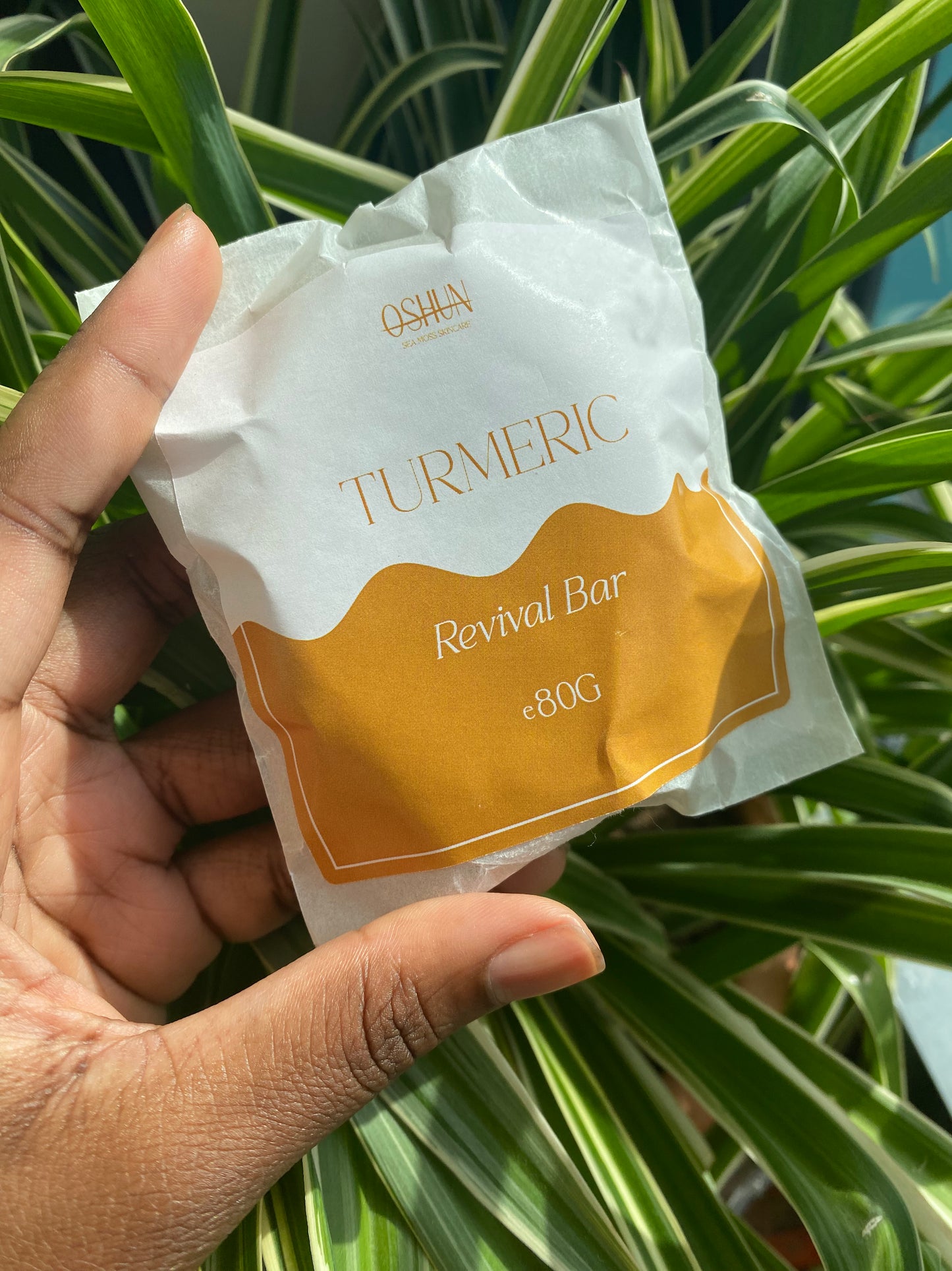 Turmeric Revival Bar