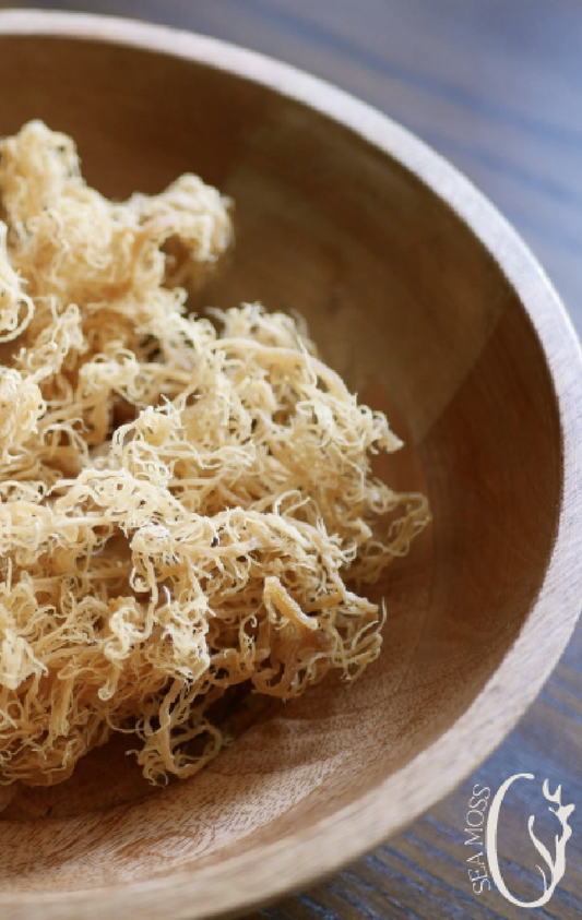 Raw sea moss in wooden bowl